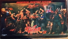Street Fighter roster play mat